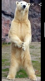 Screenshot_20200423-054128_Gallery.jpg Screenshot_20200423-054128_Gallery.jpg