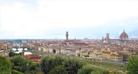 DSC03203 (2).JPG DSC03203 (2).JPG