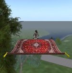 Fliegender Teppich.jpg