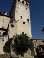 20181012_104036.jpg 20181012_104036.jpg