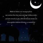 IMG_20200611_190639_620.jpg IMG_20200611_190639_620.jpg