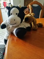 IMG_20200717_125024.jpg IMG_20200717_125024.jpg