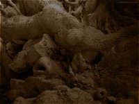 where_the_slime_lives____by_waldeck_d23sshz-fullview.jpg where_the_slime_lives____by_waldeck_d23sshz-fullview.jpg