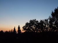 SAM_0126.JPG SAM_0126.JPG