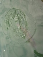 Jesusbild in einem Teich in Rom.JPG