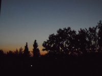 SAM_0202.JPG SAM_0202.JPG