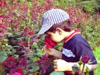 SaheinKnab.jpg SaheinKnab.jpg