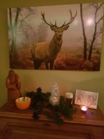 20200314_215229.jpg 20200314_215229.jpg