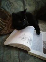 IMG_20201130_152137.jpg IMG_20201130_152137.jpg