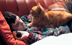 Felix mit Tiger.JPG Felix mit Tiger.JPG