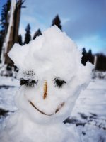 IMG_20201230_141933.jpg IMG_20201230_141933.jpg