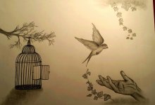 20190120_124947.png.jpg 20190120_124947.png.jpg