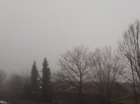 21-03-02 (1).jpg 21-03-02 (1).jpg