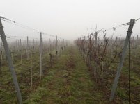 21-03-02 (2).jpg 21-03-02 (2).jpg