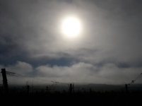 21-03-02 (4).jpg 21-03-02 (4).jpg