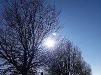 21-03-02 (5).jpg 21-03-02 (5).jpg