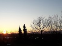 21-03-02 (7).jpg 21-03-02 (7).jpg