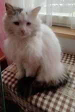 IMG_20210313_101819.jpg IMG_20210313_101819.jpg