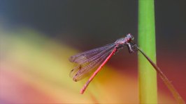 DSC_0044.JPG DSC_0044.JPG