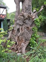 IMG_0136.JPG IMG_0136.JPG