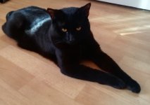 IMG_20210402_124236.jpg IMG_20210402_124236.jpg