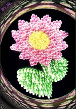 image3A535284_mirror.jpg image3A535284_mirror.jpg