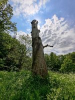 IMG_20210603_144311.jpg IMG_20210603_144311.jpg