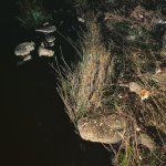 IMG_20210331_085506_280.jpg IMG_20210331_085506_280.jpg