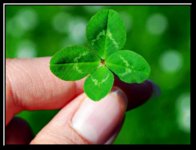 Screenshot_20210613_094324_com.pixabay.pixabayapp.jpg Screenshot_20210613_094324_com.pixabay.pixabayapp.jpg