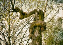 DSC_0102.JPG DSC_0102.JPG