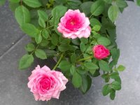 20211001_164753.jpg 20211001_164753.jpg