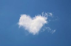 Screenshot_20211001_191735.jpg Screenshot_20211001_191735.jpg