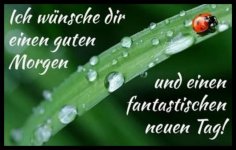 IMG_20211013_070625.jpg IMG_20211013_070625.jpg