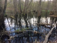 IMG_6681.JPG IMG_6681.JPG