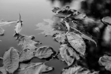 Schwerin -0303.jpg Schwerin -0303.jpg