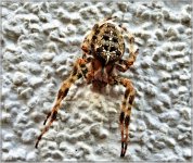 DSC_0001(1).jpg DSC_0001(1).jpg