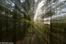 allabouttrees (4 von 4).jpg allabouttrees (4 von 4).jpg