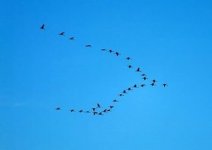 Die ganze Botschaft.jpg Die ganze Botschaft.jpg