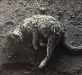 BE3FBF82-4954-41CA-8278-F7B050271985.jpeg BE3FBF82-4954-41CA-8278-F7B050271985.jpeg