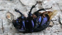 Bildschirmfoto 2022-02-21 um 16.29.49.jpg