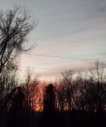 Screenshot_20220223-193347-464.png Screenshot_20220223-193347-464.png