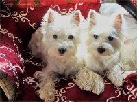 DSC08726.JPG DSC08726.JPG