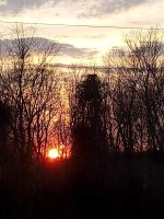 IMG_20220305_174708529.jpg IMG_20220305_174708529.jpg