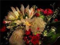 DSC00606 - Kopie.JPG DSC00606 - Kopie.JPG