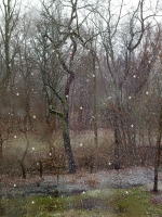 Screenshot_20220312-202454-086.png Screenshot_20220312-202454-086.png