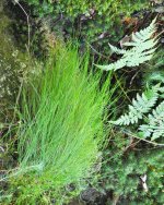 2017-07-20 10.39.44-1.jpg