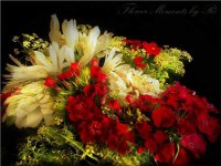 DSC00607 - Kopie.JPG