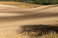 brownie (1 von 1).jpg brownie (1 von 1).jpg