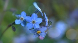 Fotoram.io(3) - Kopie.jpg Fotoram.io(3) - Kopie.jpg