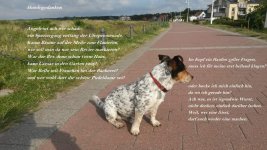 Hundegedanken re.jpg